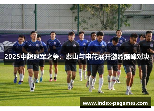 2025中超冠军之争：泰山与申花展开激烈巅峰对决
