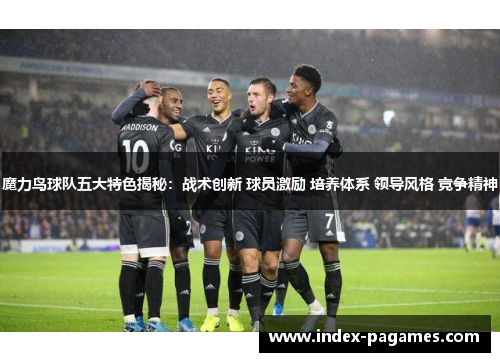 魔力鸟球队五大特色揭秘：战术创新 球员激励 培养体系 领导风格 竞争精神