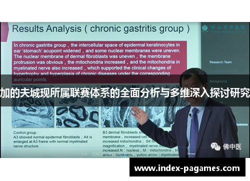 加的夫城现所属联赛体系的全面分析与多维深入探讨研究