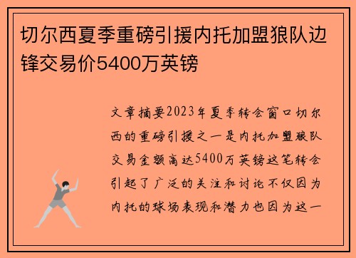 切尔西夏季重磅引援内托加盟狼队边锋交易价5400万英镑