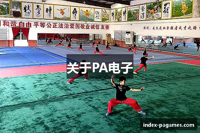 关于PA电子